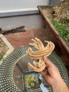 Cầu góc tre