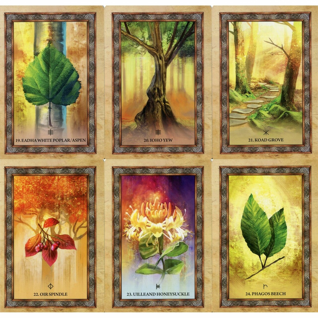 Bộ bài Celtic Tree Oracle C2