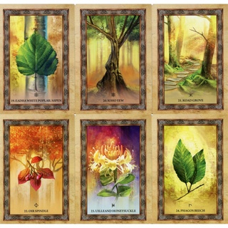 Bộ bài Celtic Tree Oracle C2