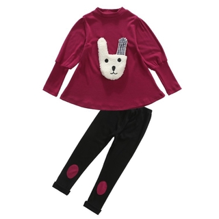 Set Of Long Sleeve T-shirts & Long Pants For Girls