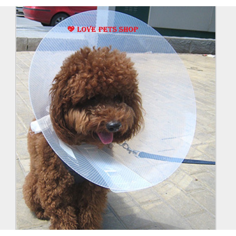 VÒNG CỔ CHỐNG LIẾM CHO CHÓ MÈO BẰNG NHỰA CÓ KHUY GÀI - LOVE PETS SHOP