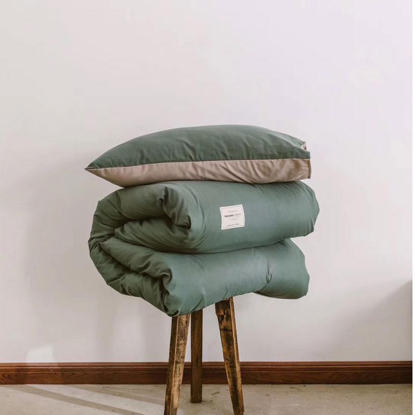 Bộ vỏ chăn ga gối cotton tici LIDACO - Xanh Mint Ga Be