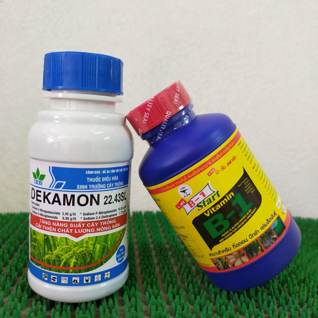 Combo B1 thái kích rễ + Dekamon điều hòa sinh trưởng cây trồng