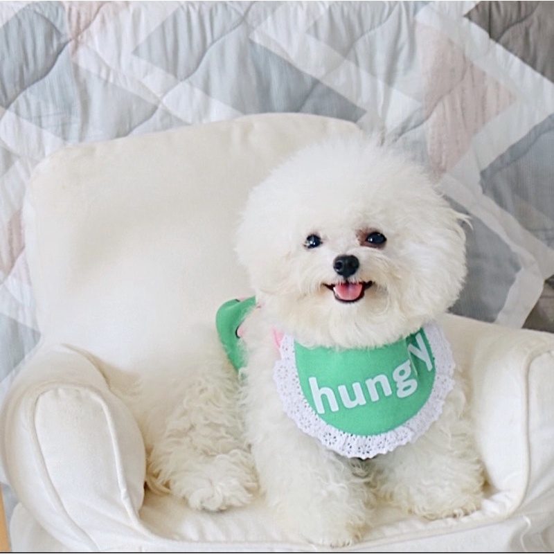 Áo Dây Hoa tặng Kèm Yếm Cho Thú Cưng