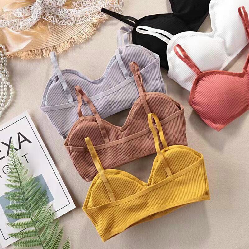 Áo ngực nữ - áo bra cotton tăm 2 dây có đệm 9922 / 20193