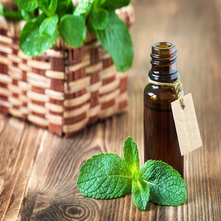 TINH DẦU BẠC HÀ (Peppermint Oil) 50ml, 100ml