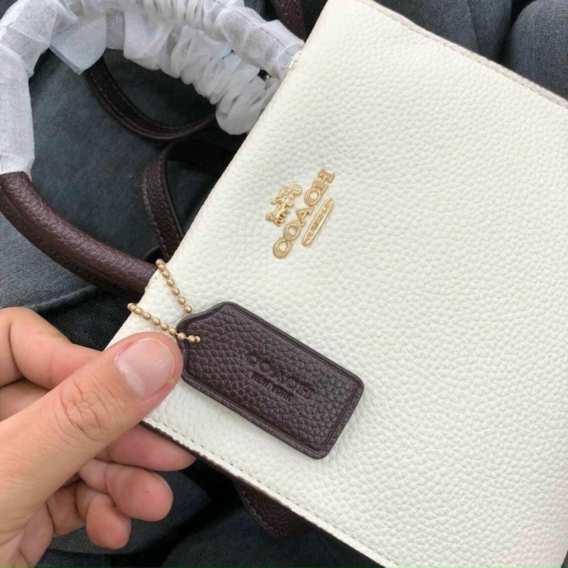 Túi Coach mini