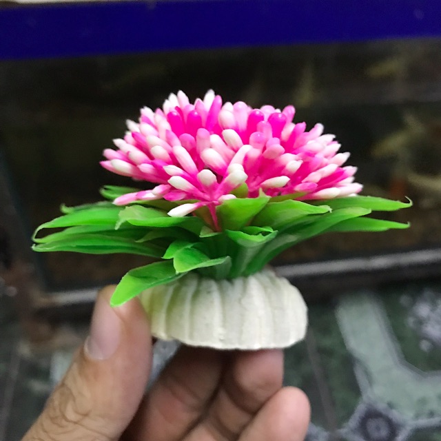 RONG GIẢ TRANG TRÍ HỒ CÁ NON BỘ ĐƯỜNG KÍNH 8CM CAO 6CM