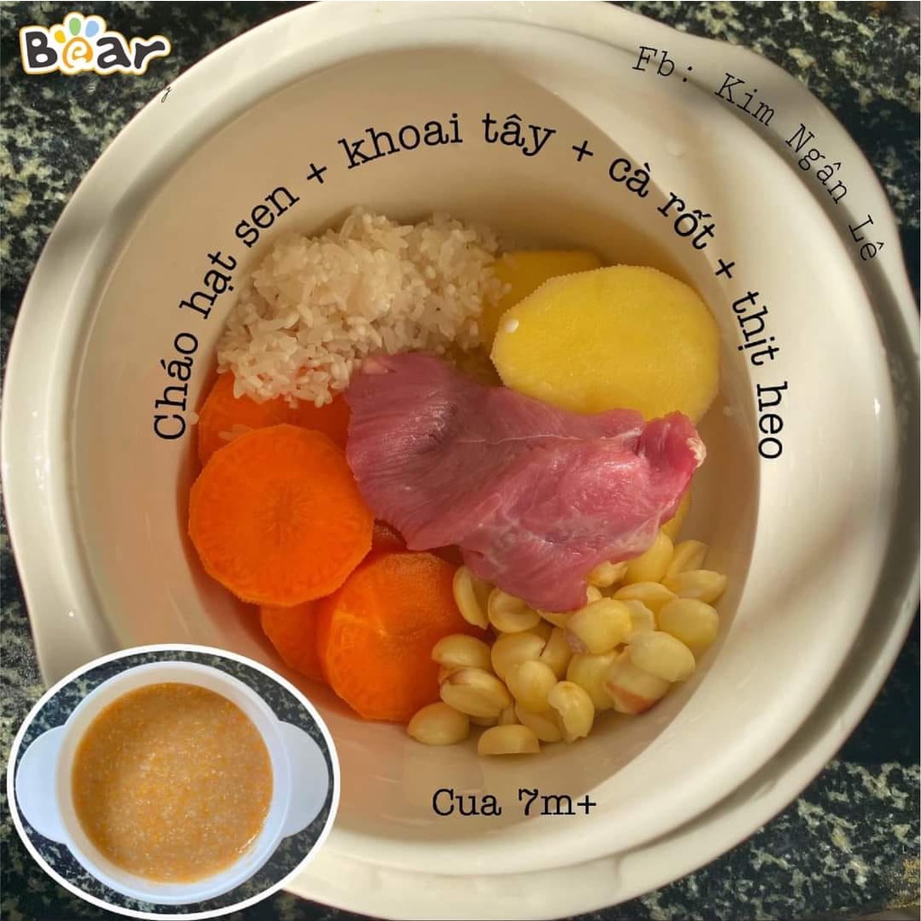 Nồi Bear Nấu Cháo Chậm, Nồi Nấu Cháo Ninh Hầm Cách Thủy Bear 0,8L Cho Bé Ăn Dặm Bản Tiếng Việt