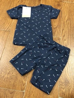 Bộ carter