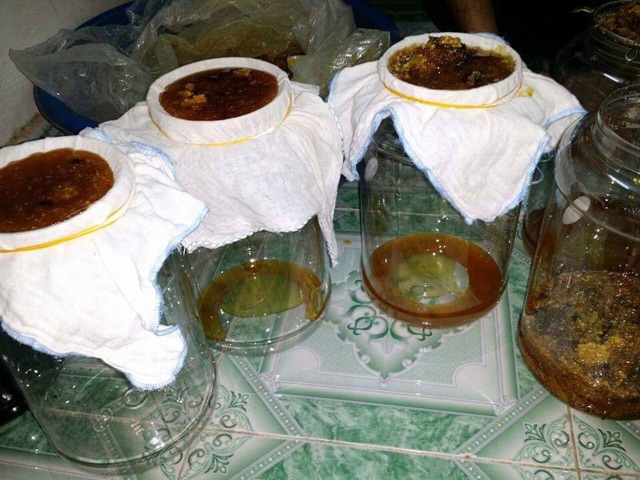 Mật ong rừng Tây Bắc | BigBuy360 - bigbuy360.vn