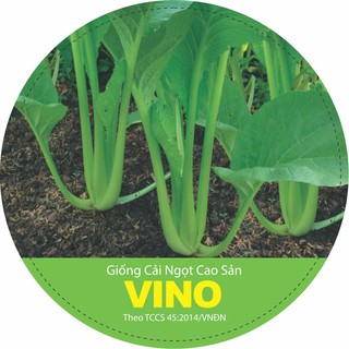 Hạt giống rau cải ngọt cao sản VINO 10gr