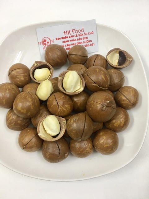 1kg Hạt Mắc ca Việt Nam nứt vỏ loại 1 - tặng cậy tách