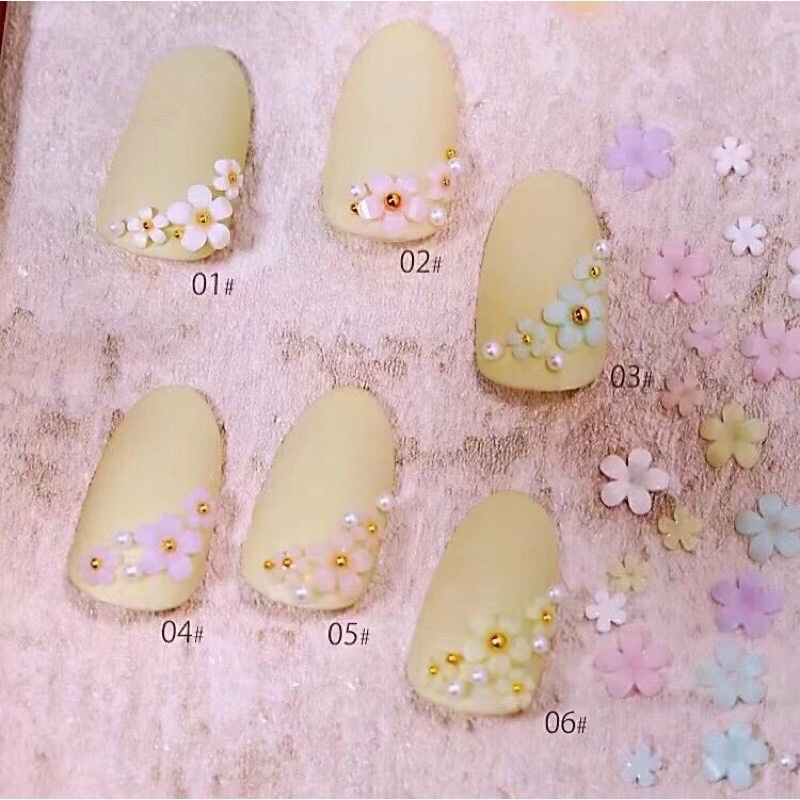 Hoa Khô Nhí,khay Charm Hoa Bi Mix 6 Màu,phụ Kiện Trang Trí Nail
