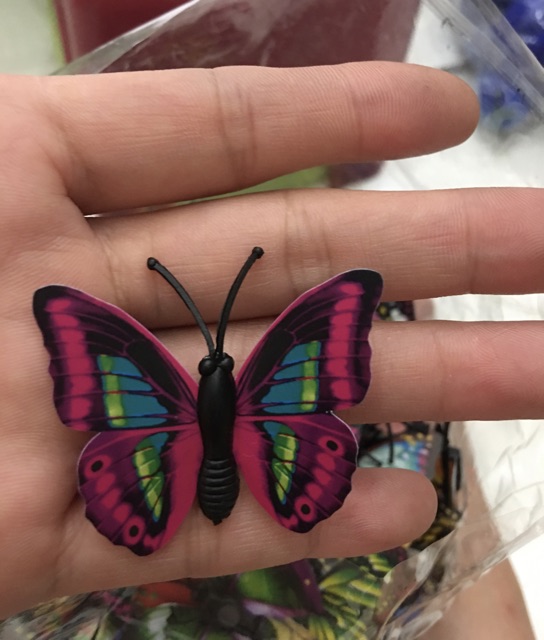 Con Bướm nhựa -cục hít