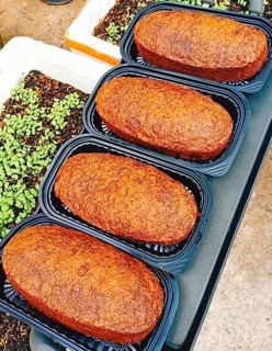 Bánh bò thốt nốt đường đen