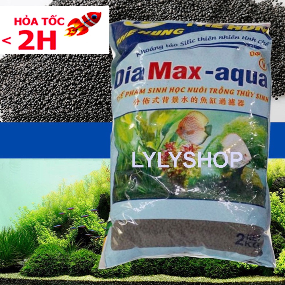 Combo Đất nền thủy sinh Dia max và máy sủi khí 2 vòi RS 348a tặng kèm 2 quả sủi và 2m dây sủi oxi