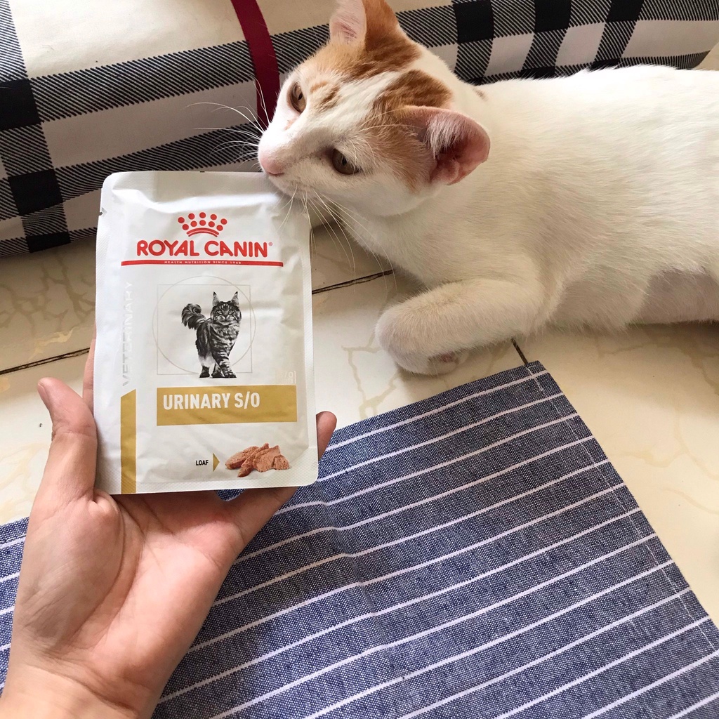 [85g] Pate Royal Canin Urinary S/O Loaf Cho Mèo Sỏi Thận