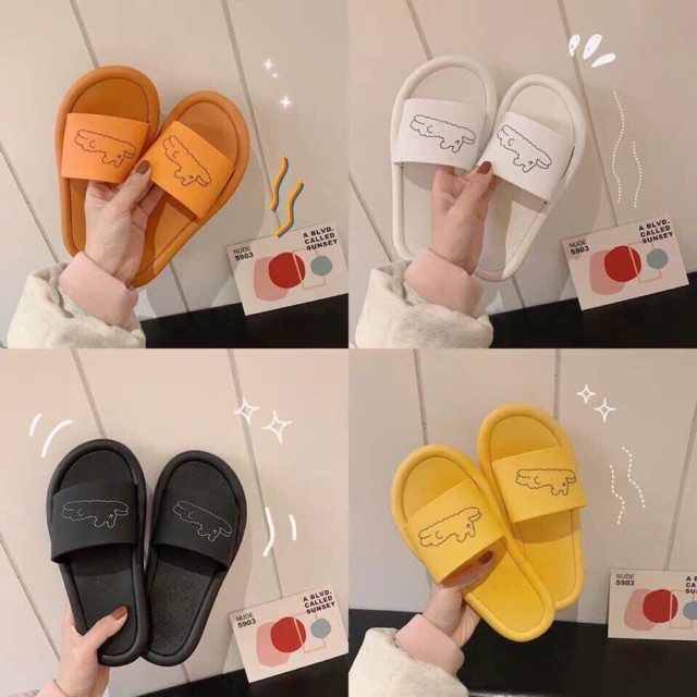 Dép con chó về r ạ