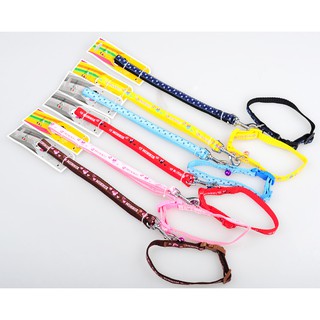DÂY DẮT CHÓ MÈO TỪ 1-15KG