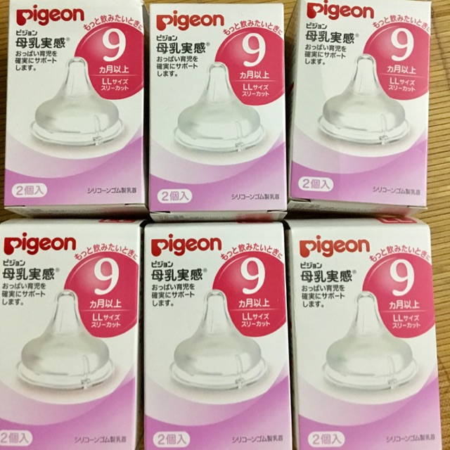 Set 2 núm pigeon số 9