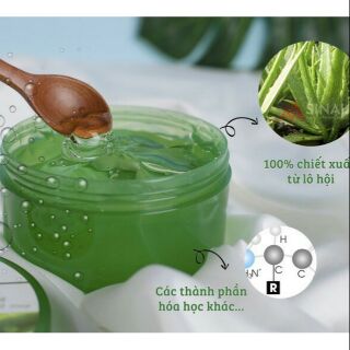 GEL MẶT NẠ NHA ĐAM Ốc Sên Ecosy 220ml🌳🌳🌳