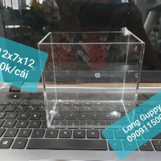 Hồ show cá siêu trong Acrylic