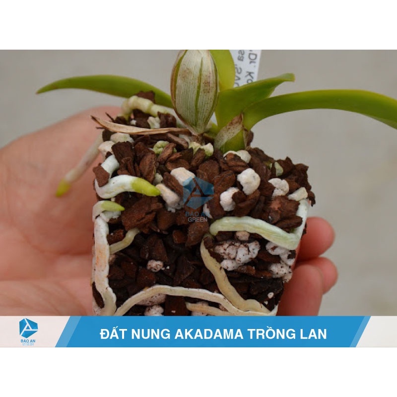 Đá Perlite trồng sen đá, hoa lan, ươm cây- đá nhẹ tơi xốp