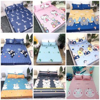 [RẺ BỀN ĐẸP] Bộ Ga Chun Kèm Vỏ Gối Cotton Poly kt m6x2m; m8x2m; 2mx2m2 (Ảnh thật, được chọn mẫu)