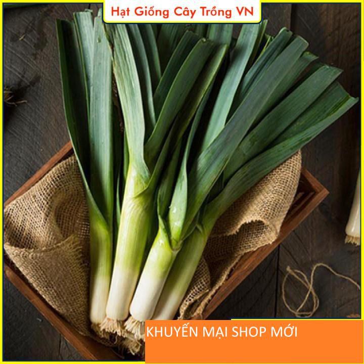 Hạt giống Tỏi Tây/ Hành Baro Năng Suất Cao khuyến mại shop mới