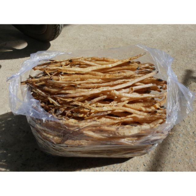 Sá sùng khô nấu phở 100gr/50gr loại 1 size Nhỡ mềm ngon sạch cát - sá sùng nấu nước phở siêu ngọt thơm ngon