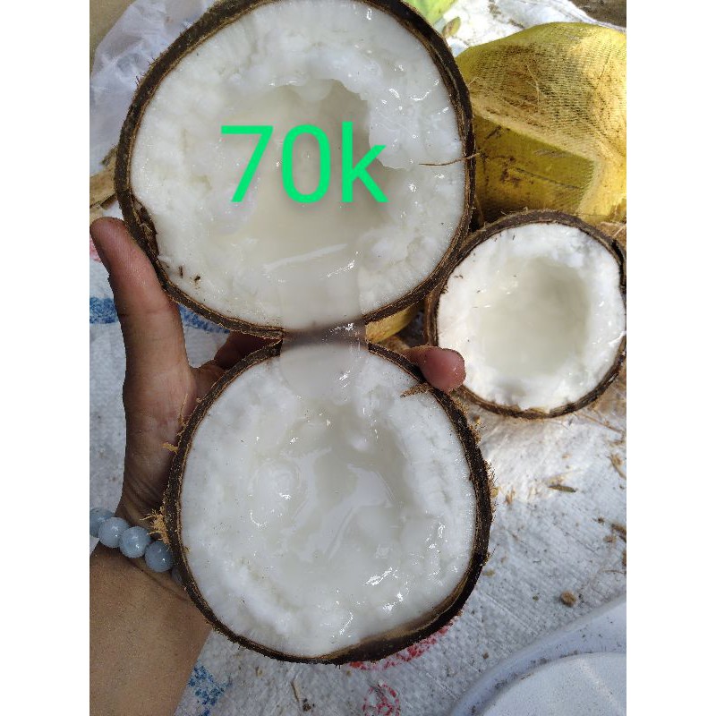 [Mã GROADO2 giảm 10% đơn 150K] Dừa Sáp Bi 600g đặc ruột giá sỉ