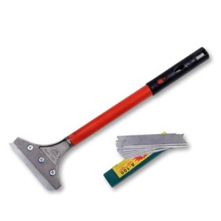 Cây sủi tường + lưỡi dao rọc giấy