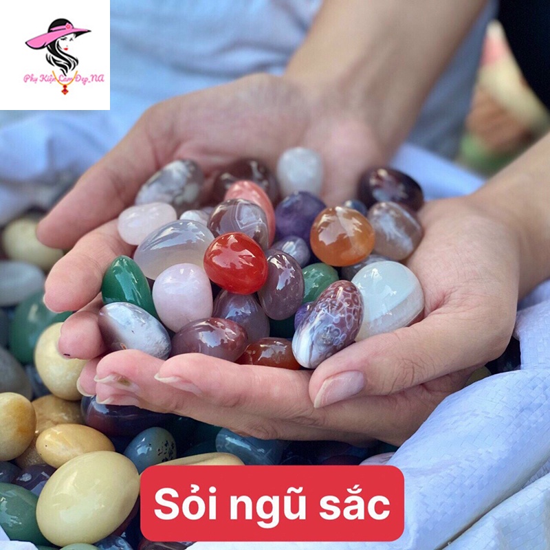 Đá Sỏi Mài Bóng Tự Nhiên - Đá Thanh Tẩy - Sỏi Trang Trí Chậu Cây, Thả Bể Cá, Kích Thước 2-3cm