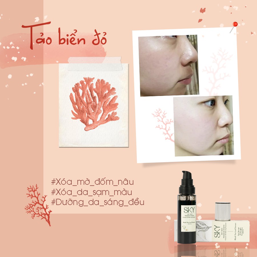 Sữa Rửa Mặt Trà Đen SKY USA + Tặng Khăn Giấy Tẩy Trang Farm Skin + 2 Mask Cá Tầm | BigBuy360 - bigbuy360.vn