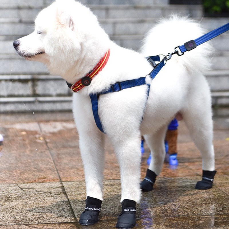 Set 4 giày đi mưa chống thấm nước màu sắc dễ thương cho cún cưng