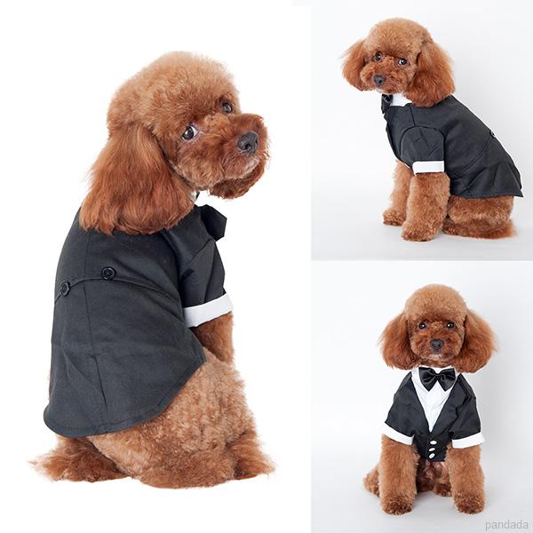 Áo vest chú rể cho chó cưng trong tiệc cưới