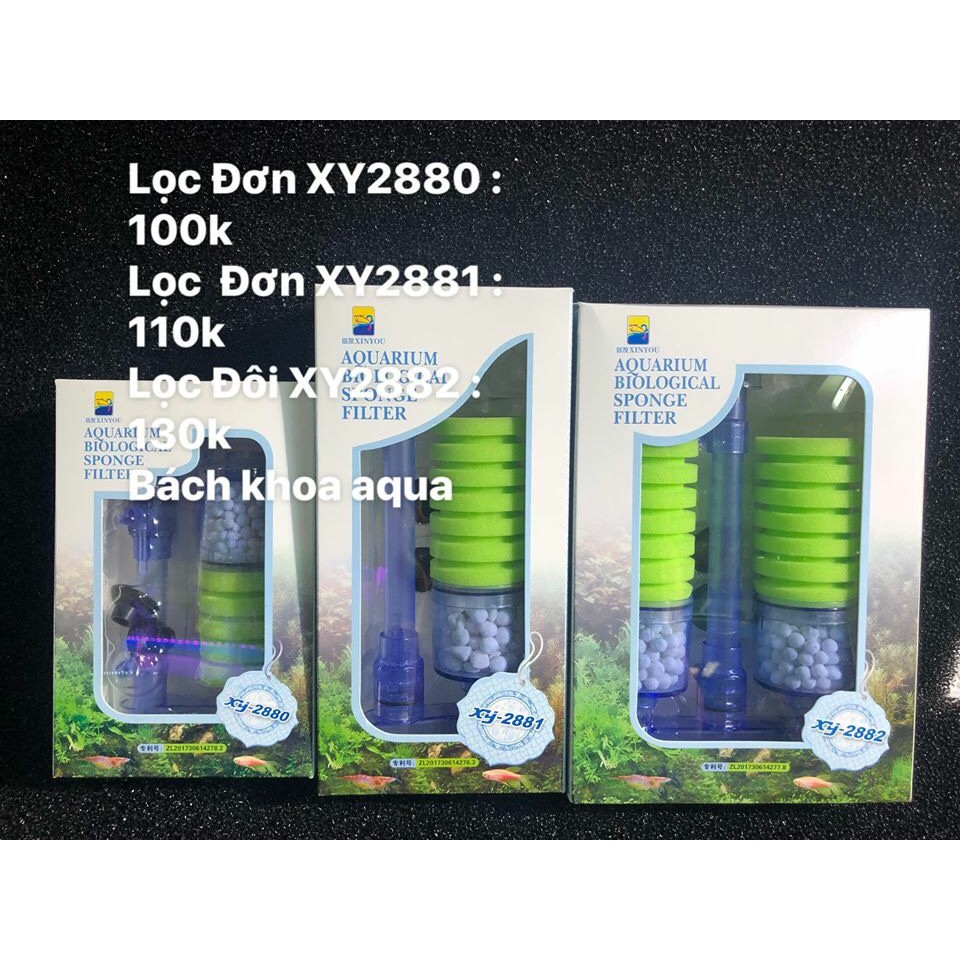 Lọc sủi vi sinh bio Xinyou đơn XY2880 và XY2881