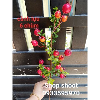 CÀNH LỰU TÀI LỘC CHƯNG TẾT
