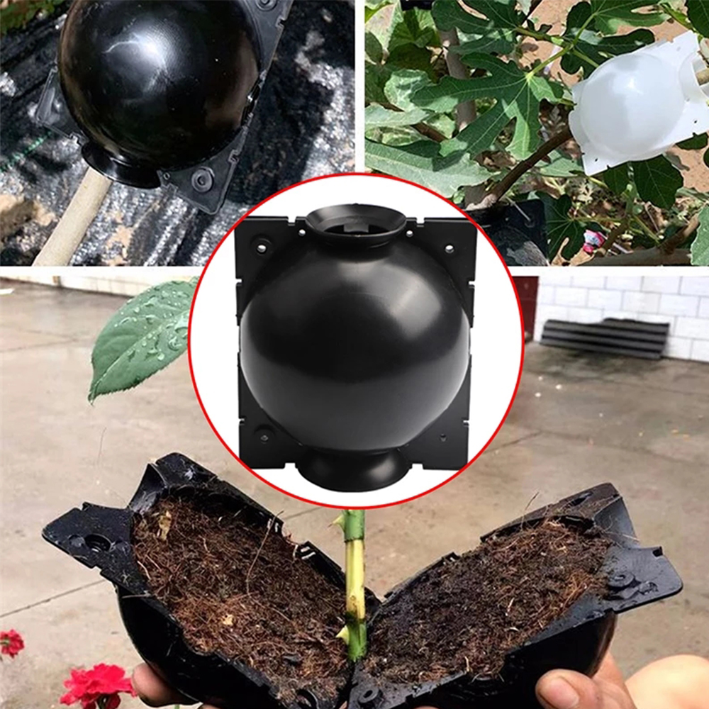 Set 1 / 3 / 5 Quả Bóng Hỗ Trợ Trồng Cây Tiện Dụng