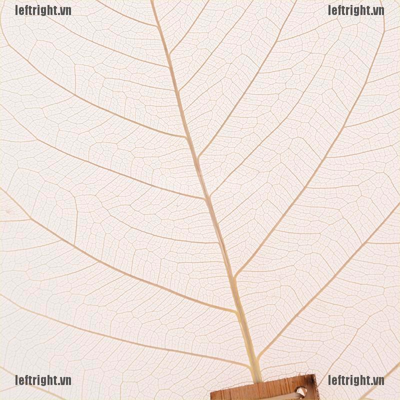 Dụng Cụ Lọc Trà Hình Chiếc Lá Phong Cách Phật Giáo