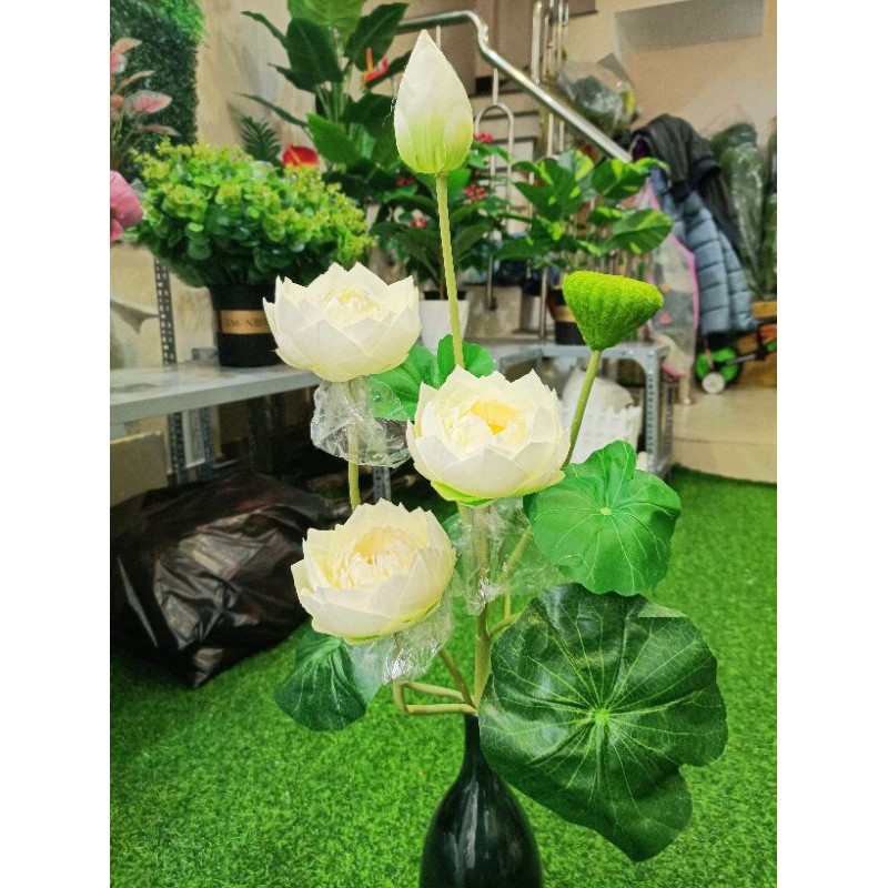 Cành sen giả,sen thái cánh kép cao 77cm,lụa cao cấp, lá in 3D-hoaluaminhhoa