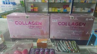 (HĐ+CBCL) COLLAGEN NHÂN SÂM