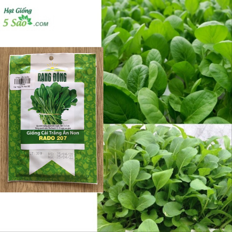 Cải Trắng Ăn Non RĐ 207 - Rạng Đông