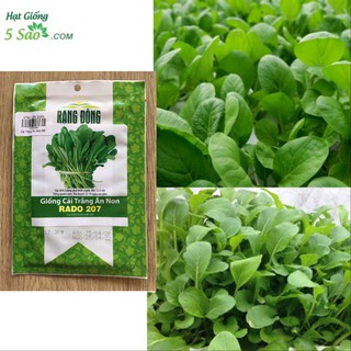 Cải Trắng Ăn Non RĐ 207