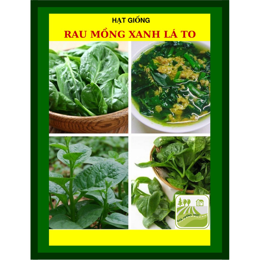 50 Gram - Hạt Mồng Tơi Lá Xanh Trang Nông