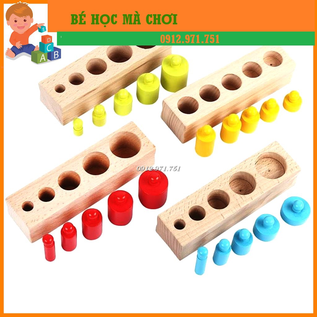 Bộ núm trụ màu bản gia đình - Giáo cụ Montessori trụ mầu có núm