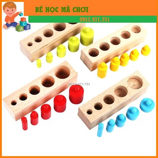 Bộ núm trụ màu bản gia đình - Giáo cụ Montessori trụ mầu có núm