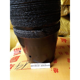 Bầu ươm cây giống size 26x21a