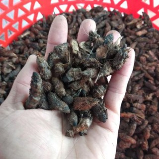 Củ gấu cỏ gấu khô 1kg